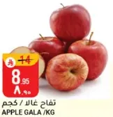 Gala apples sold by kilogram.