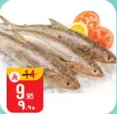 Fresh fish, perfect for grilling or frying.