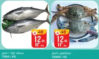 سمك تونا / كجم