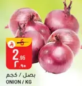 بصل