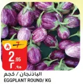 Eggplant Round