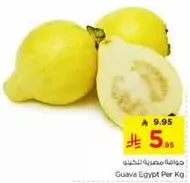 Guava Egypt Per Kg