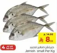 Jernish small Per Kg