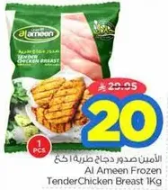 Al Ameen Frozen Tender Chicken Breast 1Kg