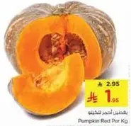 يقطين احمر للخليع