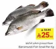 Barramundi Fish Small Per Kg