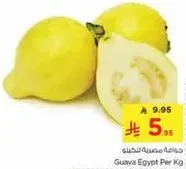 Guava Egypt Per Kg