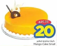 Mango Cake Small