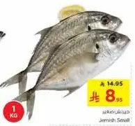 جريش صغير