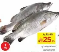 سمك باراموندي