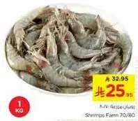 Shrimps Farm 70/80