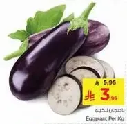 Eggplant Per Kg