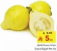 Guava Egypt Per Kg