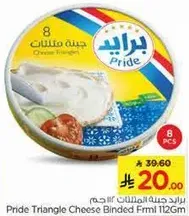 Pride Triangle Cheese Binded Frml 112GM
