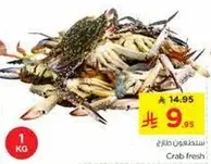 سرطان البحر الطازج متوفر.