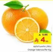 Orange Valencia Per Kg