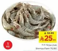 Shrimps Farm 70/80