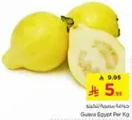 Guava Egypt Per Kg
