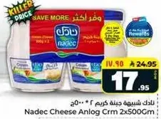 Nadec Cheese Analog Cream 2x500g