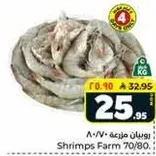 Shrimps Farm 70/80