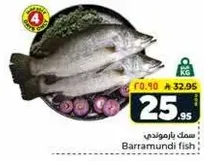 سمك باراموندي