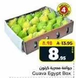 Guava Egypt Box