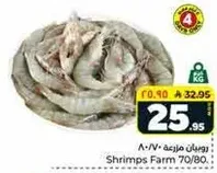 Shrimps Farm 70/80