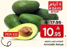 Avocado Konya