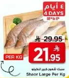 Shaor Large Per Kg