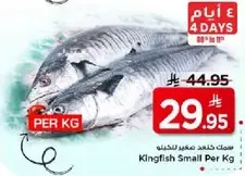 Kingfish Small Per Kg