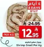 Shrimp Small Per Kg