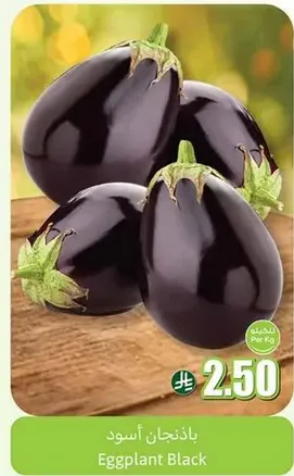 Black Eggplant