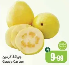 Guava Carton