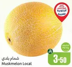 Local Muskmelon