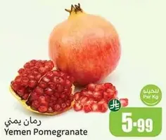Yemen Pomegranate