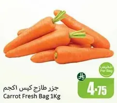 جززر طازج كيس اكبر