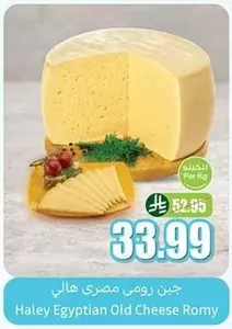 Haley Egyptian Old Cheese Romy
