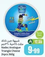 Nadec Analogue Triangle Cheese 360g
