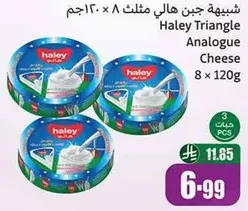 Haley Triangle Analogue Cheese 8 x 120g