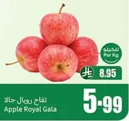 Apple Royal Gala