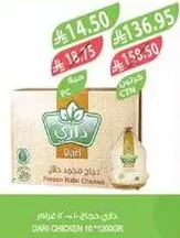 Dari Chicken 10 M1200GR