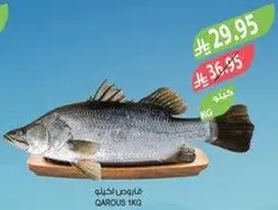 Fresh fish, available in 1 kg.