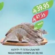 Naiqua farmed shrimps (40/50) per kg