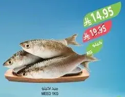 Fresh fish available for purchase.