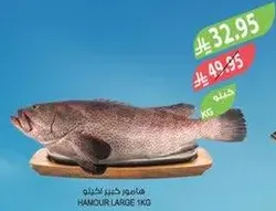 Large Hamour fish, 1 kg.