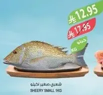 سمك شعري صغير، 1 كجم.