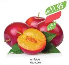 Red Plums