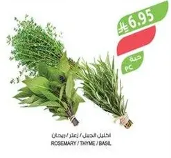 Fresh herbs including rosemary, thyme, and basil.