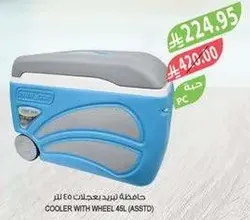 Cooler with wheel 45L (Assorted)