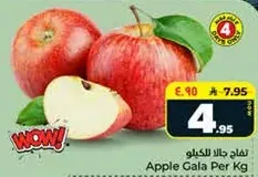 Apple Gala Per Kg